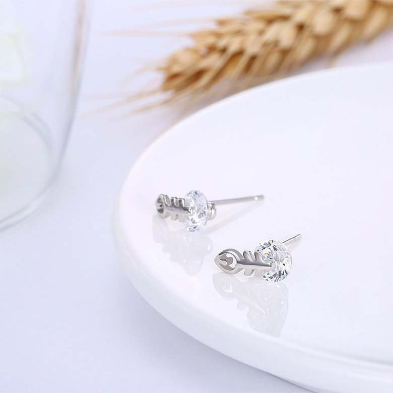 Wholesale Fashion delicate 925 Sterling Silver Jewelry Shine AAA Zircon Earrings For Women Girls New Gift Banquet Wedding TGSLE083 3
