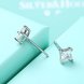 Wholesale Classical  Female square Crystal Zircon Stone Earrings Fashion Silver Color Jewelry Vintage Stud Earrings For Women TGSLE085 4 small