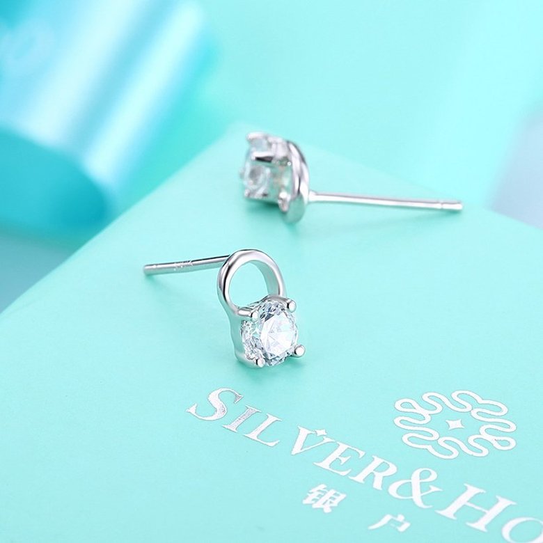 Wholesale Trendy Creative Female Stud Earrings 925 Sterling Silver delicate shinny Crystal Earrings Wedding party jewelry wholesale China TGSLE087 2