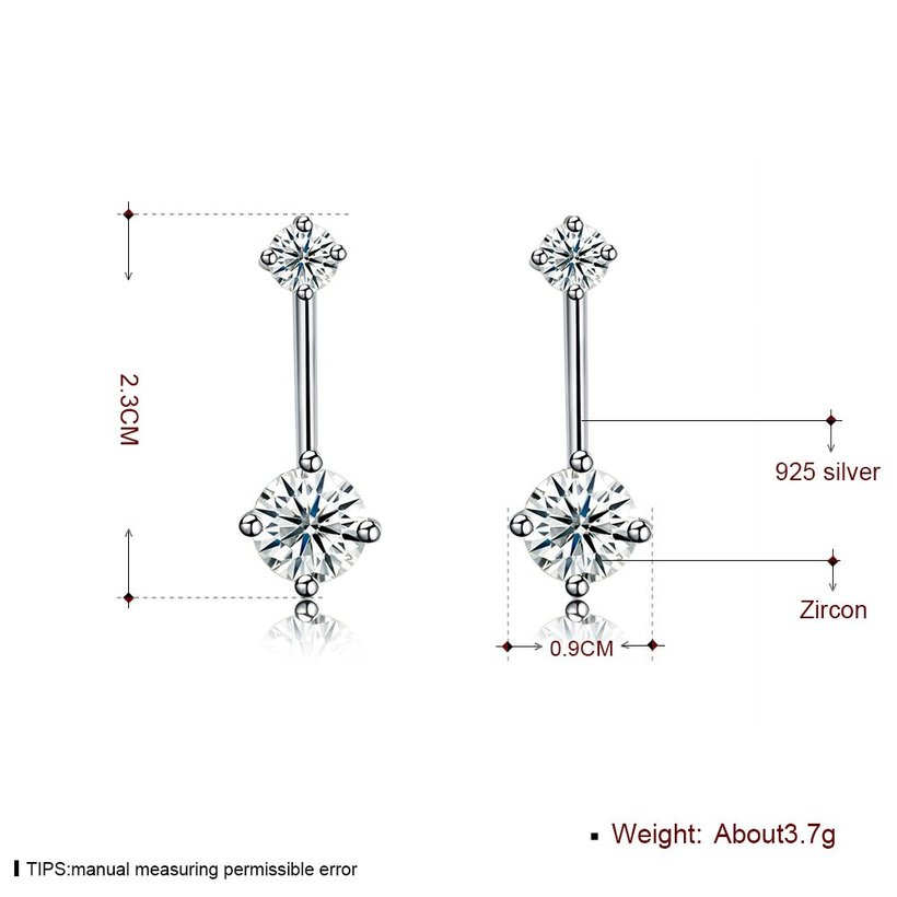 Wholesale Fashion delicate 925 Sterling Silver Four Claws Jewelry Shine AAA Zircon Earrings For Women Girls New Gift Banquet Wedding TGSLE098 5