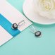 Wholesale Trendy jewelry China black square Ceramic Stud Earrings For Women with AAA shinny Zirconia dangle Earring fine Girl gift TGSLE214 1 small