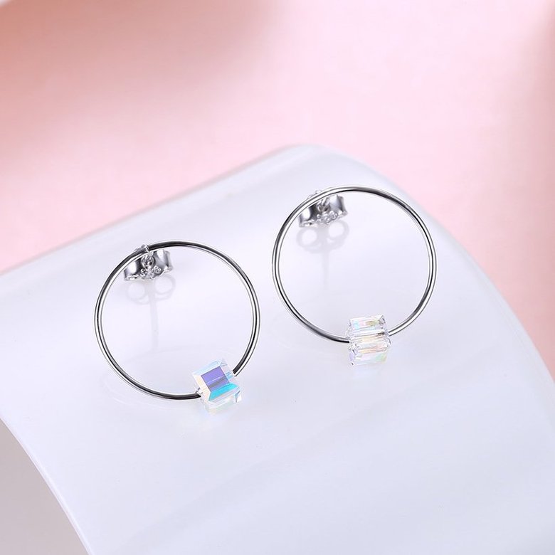 Wholesale Fashion 925 Sterling Silver Earrings For Women Girls Elegant large round crystal Earrings Party Wedding Jewelry Christmas Gifts  TGSLE023 1