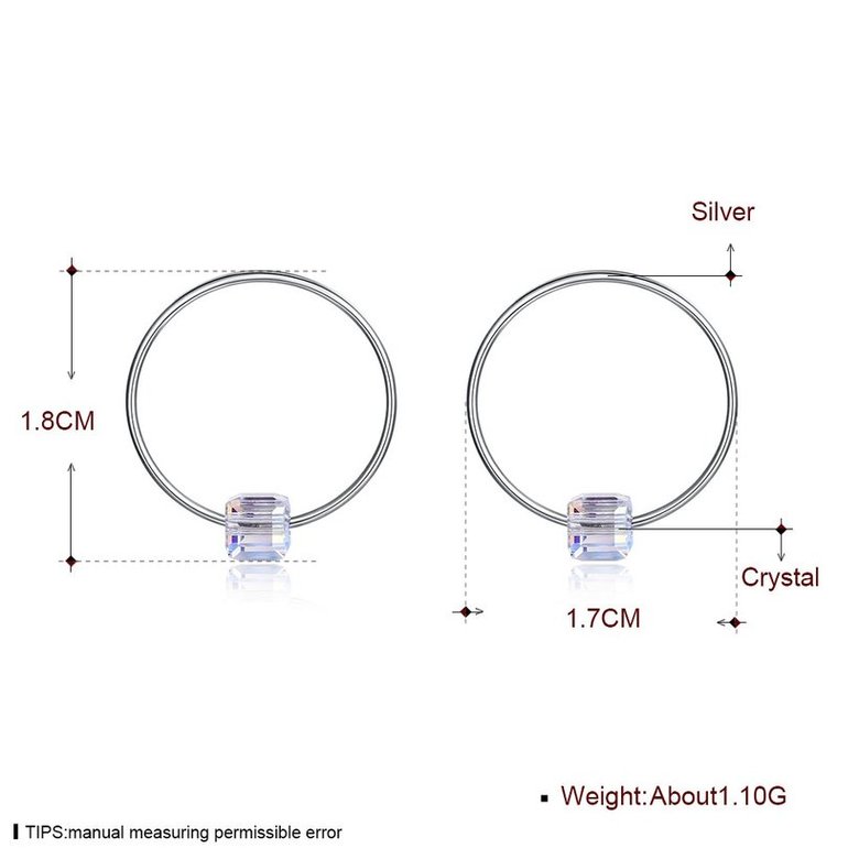 Wholesale Fashion 925 Sterling Silver Earrings For Women Girls Elegant large round crystal Earrings Party Wedding Jewelry Christmas Gifts  TGSLE023 3