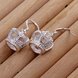 Wholesale Hot selling jewelry Silver plated Earrings Women Crown Crystal Drop Earring For Women Engagement Jewelry TGSPDE210 0 small