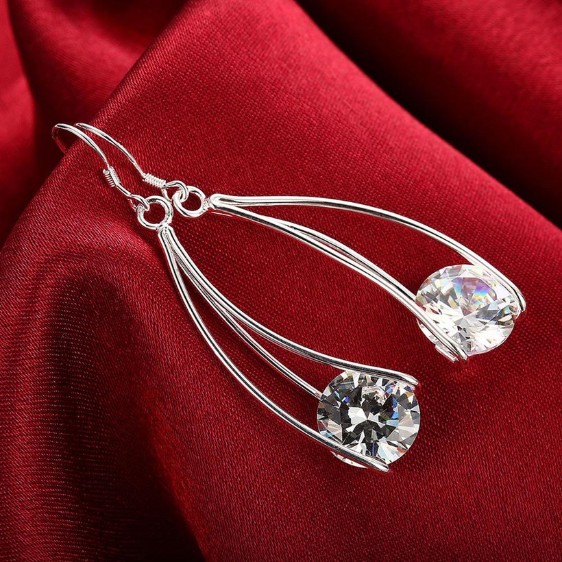 Wholesale Trendy Silver curved Dangle Earring High Quality Woman Fashion Earrings Retro Long Cubic Zirconia Pop Hook Earrings TGSPDE233 5