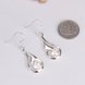 Wholesale Romantic Silver water drop zircon Dangle Earring shinny elegant earring for women wedding jewelry TGSPDE281 2 small