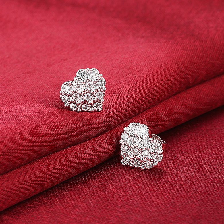 Wholesale Ladies Earrings Silver Plated Couple Earrings Love Cubic Zirconia Earrings Fashion Charm Jewelry Birthday Gift for Girlfriend TGSPE197 2