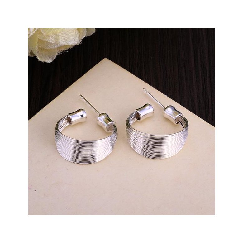Wholesale Romantic Silver Round Stud Earring 2020 New Hoop Multi Line Earrings Fashion Jewelry Factory Direct Sales TGSPE120 3