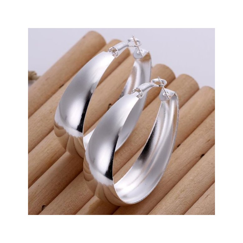 Wholesale Classic Big Circle Hoop Charm Earrings gorgeous silver plated for Women Party Gift Fashion Wedding Engagement Jewelry TGSPE127 1