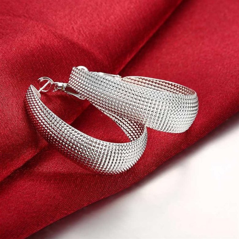 Wholesale Romantic Classic Big Circle Hoop Charm Earrings Woven mesh silver plated for Women Party Gift Fashion Wedding Engagement Jewelry TGSPE143 2