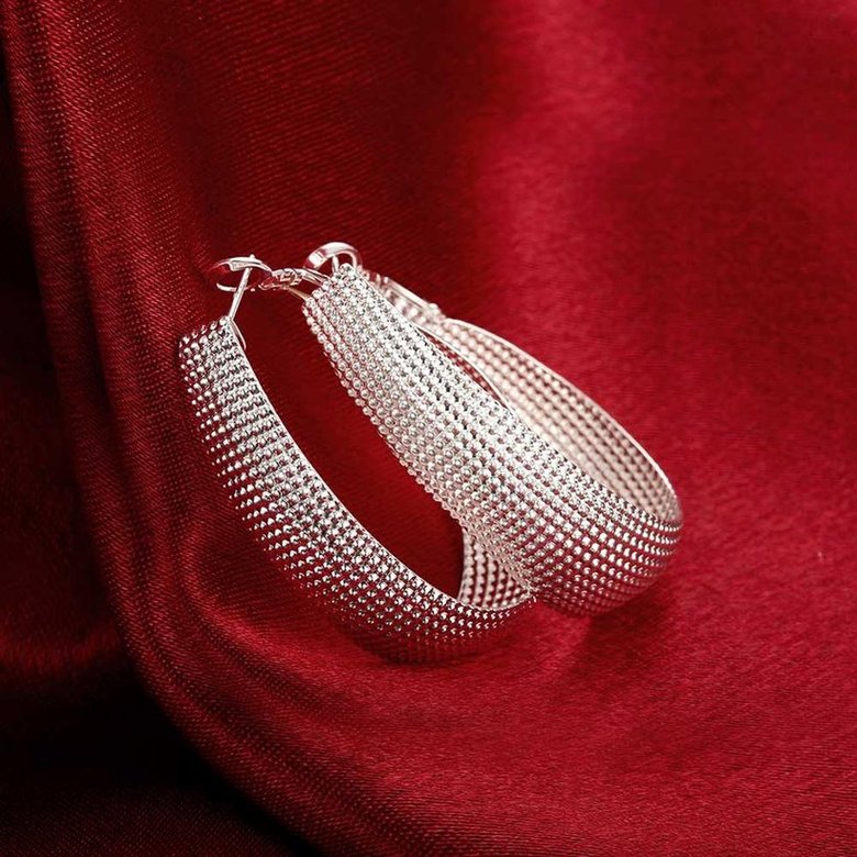 Wholesale Romantic Classic Big Circle Hoop Charm Earrings Woven mesh silver plated for Women Party Gift Fashion Wedding Engagement Jewelry TGSPE143 3