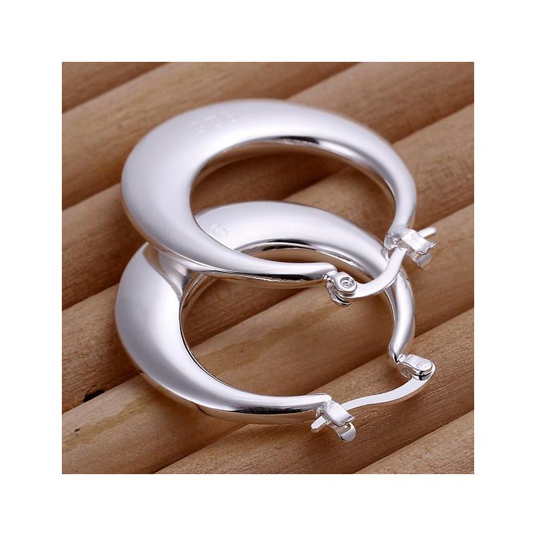 Wholesale Classic Big Circle Hoop Charm Earrings gorgeous silver plated for Women Party Gift Fashion Wedding Engagement Jewelry TGSPE148 1