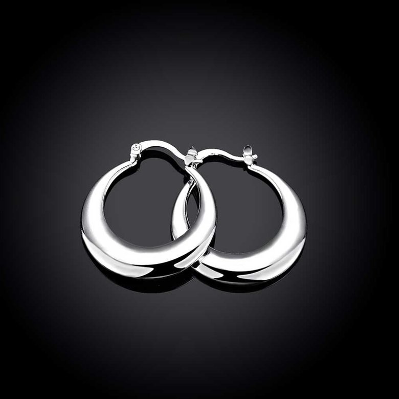 Wholesale Classic Big Circle Hoop Charm Earrings gorgeous silver plated for Women Party Gift Fashion Wedding Engagement Jewelry TGSPE148 2