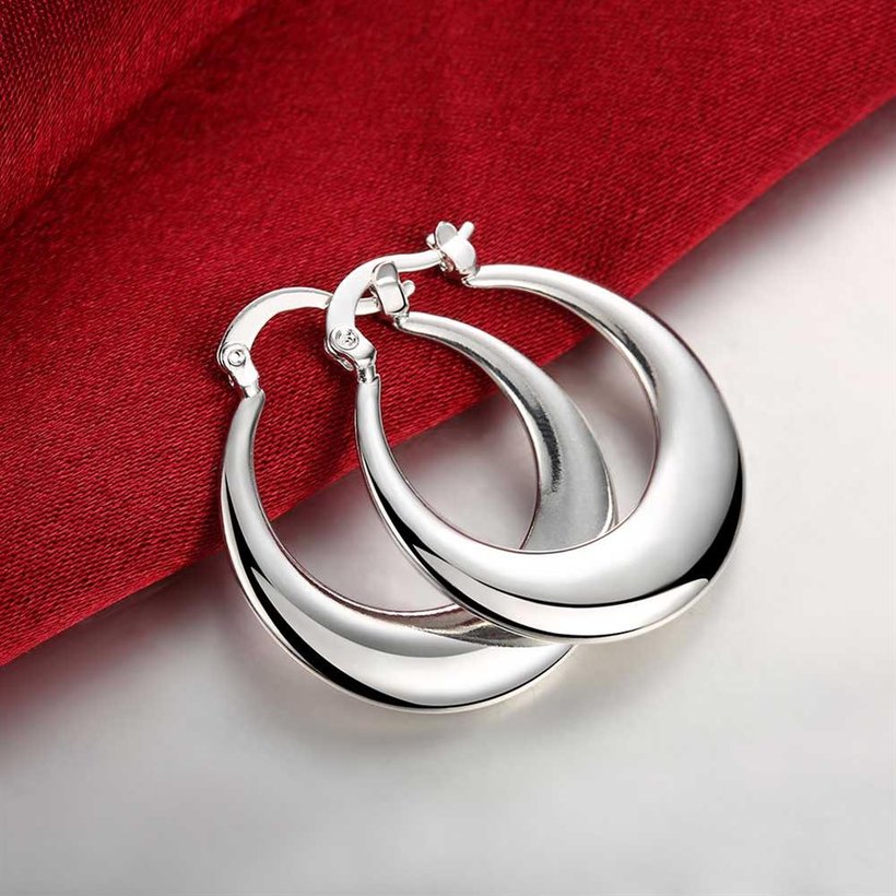 Wholesale Classic Big Circle Hoop Charm Earrings gorgeous silver plated for Women Party Gift Fashion Wedding Engagement Jewelry TGSPE148 3