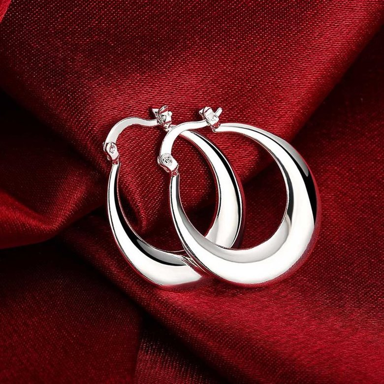 Wholesale Classic Big Circle Hoop Charm Earrings gorgeous silver plated for Women Party Gift Fashion Wedding Engagement Jewelry TGSPE148 4