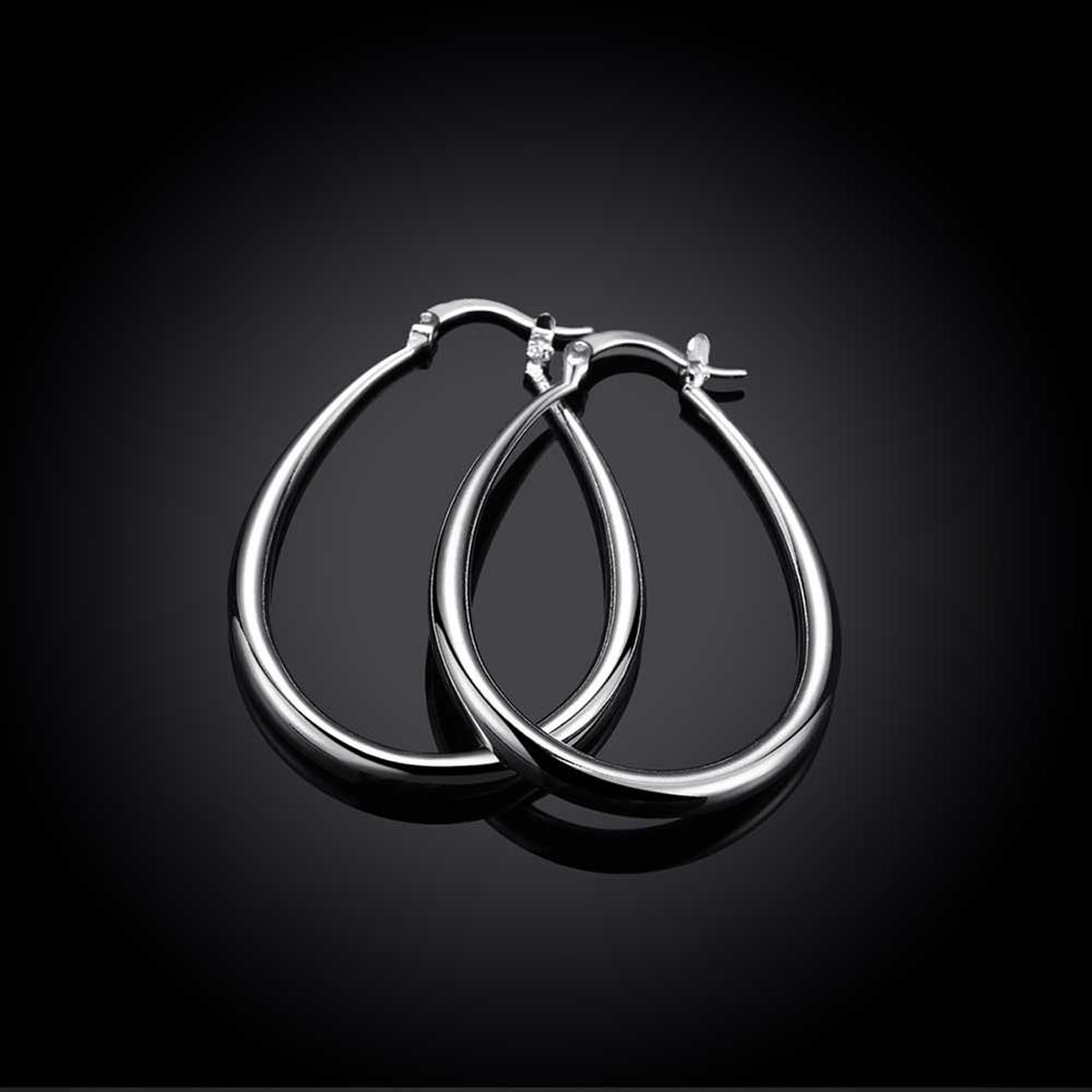 Wholesale Classic Big Circle Hoop Charm Earrings gorgeous silver plated for Women Party Gift Fashion Wedding Engagement Jewelry TGSPE150 2