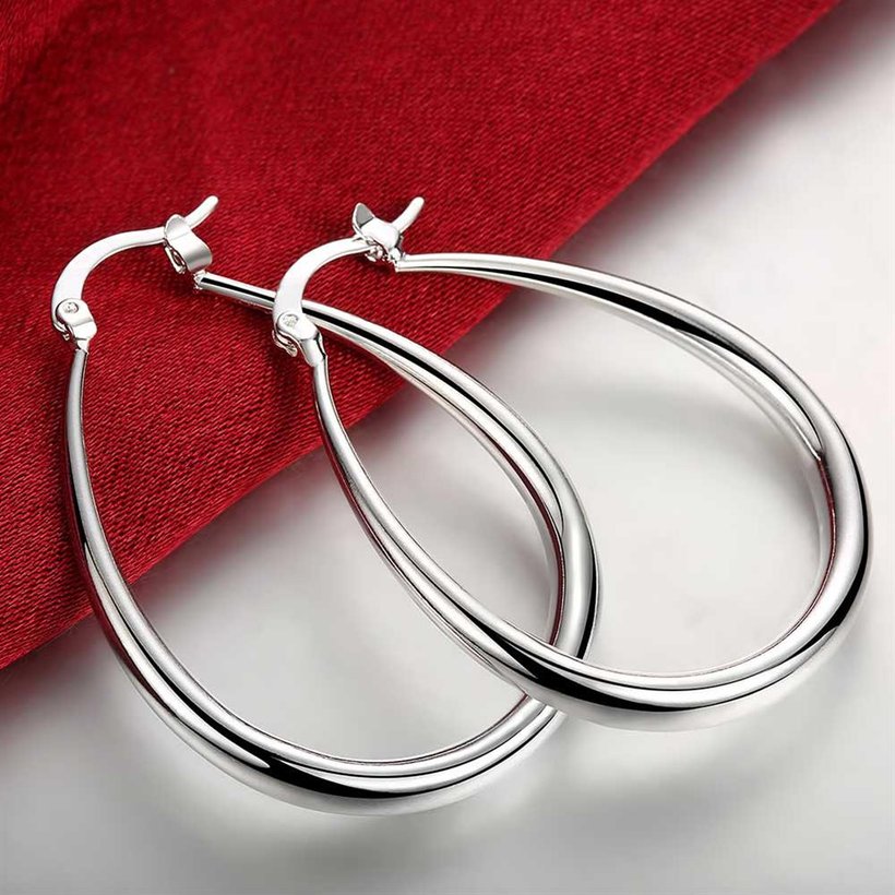 Wholesale Classic Big Circle Hoop Charm Earrings gorgeous silver plated for Women Party Gift Fashion Wedding Engagement Jewelry TGSPE150 3