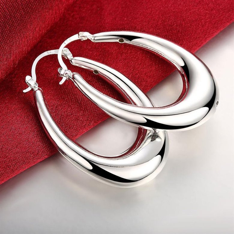 Wholesale Classic Big Circle Hoop Charm Earrings gorgeous silver plated for Women Party Gift Fashion Wedding Engagement Jewelry TGSPE166 2