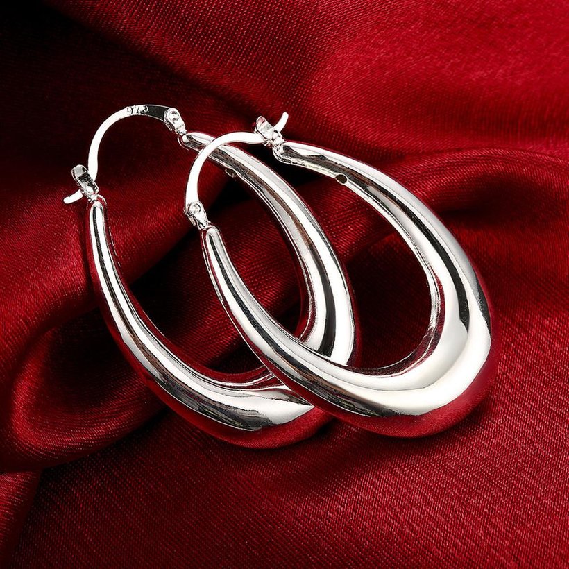 Wholesale Classic Big Circle Hoop Charm Earrings gorgeous silver plated for Women Party Gift Fashion Wedding Engagement Jewelry TGSPE166 3