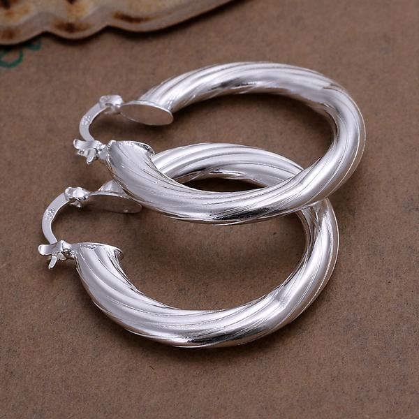 Wholesale Trendy Classic Big Circle twisted rope Charm Earrings silver plated for Women Party Gift Fashion Wedding Engagement Jewelry TGSPE177 1