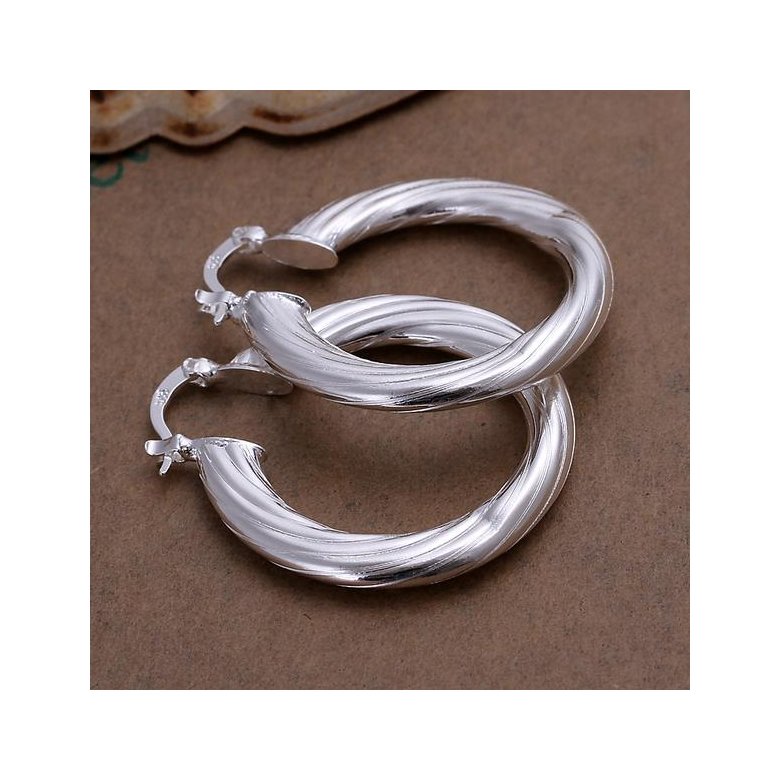 Wholesale Trendy Classic Big Circle twisted rope Charm Earrings silver plated for Women Party Gift Fashion Wedding Engagement Jewelry TGSPE177 1