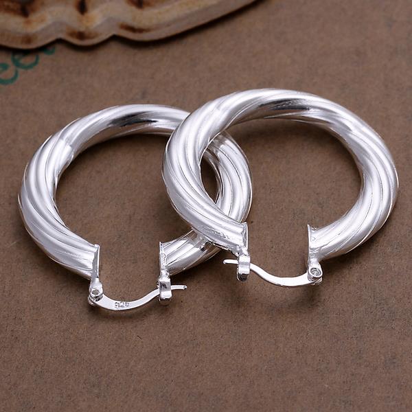 Wholesale Trendy Classic Big Circle twisted rope Charm Earrings silver plated for Women Party Gift Fashion Wedding Engagement Jewelry TGSPE177 2