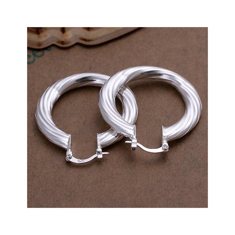 Wholesale Trendy Classic Big Circle twisted rope Charm Earrings silver plated for Women Party Gift Fashion Wedding Engagement Jewelry TGSPE177 2