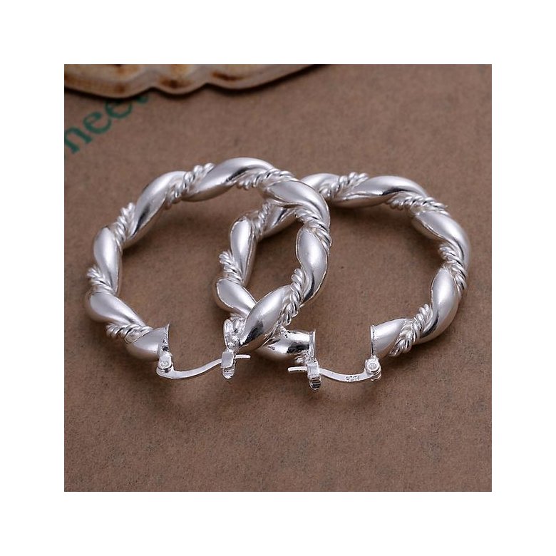 Wholesale Trendy Classic Big Circle twisted rope Charm Earrings For Woman Fashion Party Wedding Engagement Party Jewelry TGSPE178 2