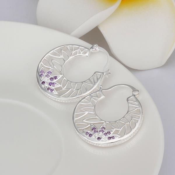 Wholesale Romantic Elegant silver plated purple Cubic Zirconia Stone Stud Earring For Women Round hollow Crystal Earrings Wedding Jewelry  TGSPE021 4