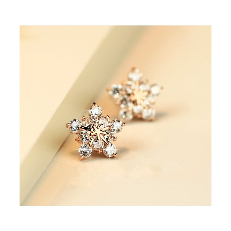 Wholesale Exaggerated Korean Style Romantic Snow Flower Stud Earrings For Elegant 925 Silver Zirconia Stone Earring Jewelry VGE027 2