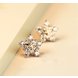 Wholesale Exaggerated Korean Style Romantic Snow Flower Stud Earrings For Elegant 925 Silver Zirconia Stone Earring Jewelry VGE027 2 small