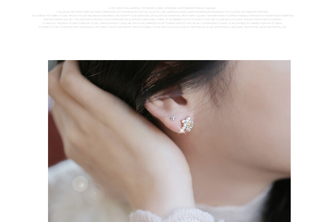 Wholesale Exaggerated Korean Style Romantic Snow Flower Stud Earrings For Elegant 925 Silver Zirconia Stone Earring Jewelry VGE027 3