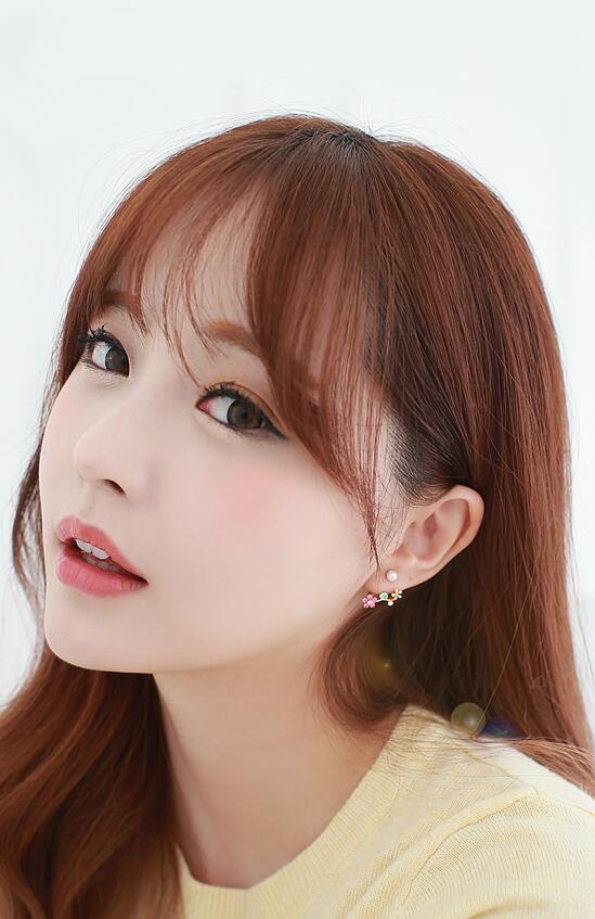 Wholesale Korean Jewelry Zircon Flower Pearl Geometry Stud Earrings For Women Statement Ear Jewelry VGE101 0