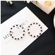 Wholesale New Hot Selling Colorful Hoop Earrings For Women Girl Statement Ear Jewelry Round Circle  Gift Jewelry VGE116 1 small