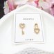 Wholesale Fashion Jewelry Personality Simple Asymmetric Cute Mini Key Lock Heart Earrings Crystal Earrings Women Elegant Earrings VGE169 1 small