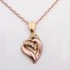 Wholesale Romantic Rose Gold Plated Necklace Heart Necklace For Women Cubic Zircon Pendant  Valentine's Day Gift TGGPN068 2 small