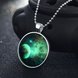 Wholesale Trendy Vast Sky Luminous Necklace TGLP023 2 small