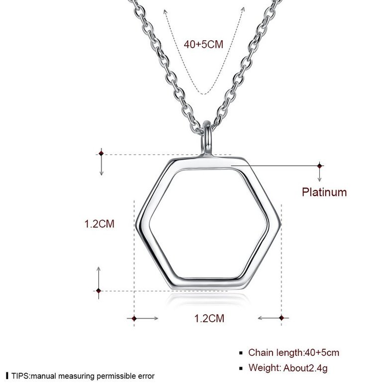 Wholesale Fashionable hexagon hollow out S925 Sterling Silver Necklace TGSSN039 4