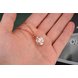 Wholesale Fashion stainless steel CZ elegant fox Necklace TGSTN129 1 small