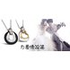 Wholesale Greatest Gift stainless steel couples Necklace CZ pendants TGSTN050 2 small