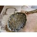 Wholesale Beautiful Peacock vintage Necklace Pendant For Women Jewelry Creative Gift Sweater chain VGN003 4 small