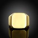 Wholesale Trendy vintage square 24K gold Stainless Steel Mens Rings For Boy Friendship gift Jewelry Accessory TGSTR186 0 small