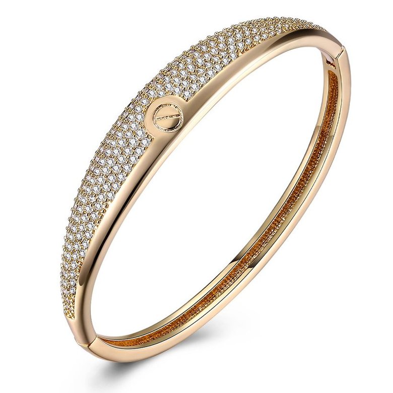 Wholesale Fashion Champagne Gold Simple style CZ Bangle TGGPBL064