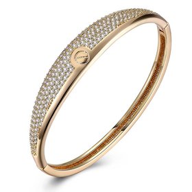 Wholesale Fashion Champagne Gold Simple style CZ Bangle TGGPBL064