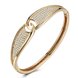 Wholesale Intersect Champagne Gold CZ Bangle TGGPBL074