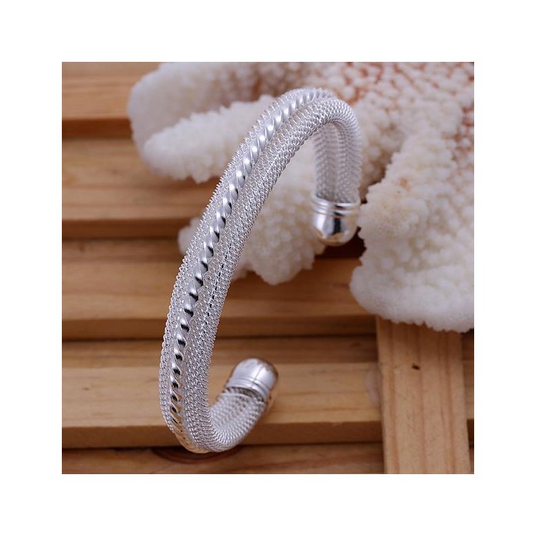 Wholesale Classic Silver Round Bangle&Cuff TGSPBL030