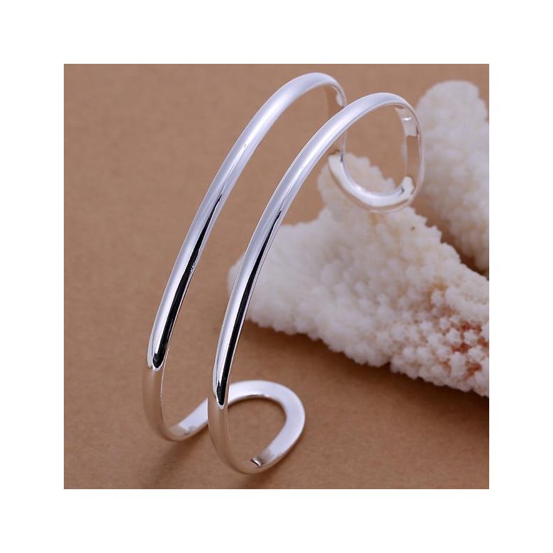 Wholesale Romantic Silver Round Bangle&Cuff TGSPBL066