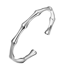 Wholesale Classic Silver Plant Bangle&Cuff TGSPBL078