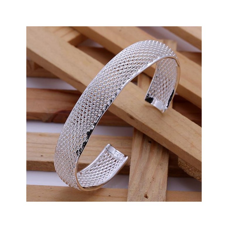 Wholesale Romantic Silver Round Bangle&Cuff TGSPBL081