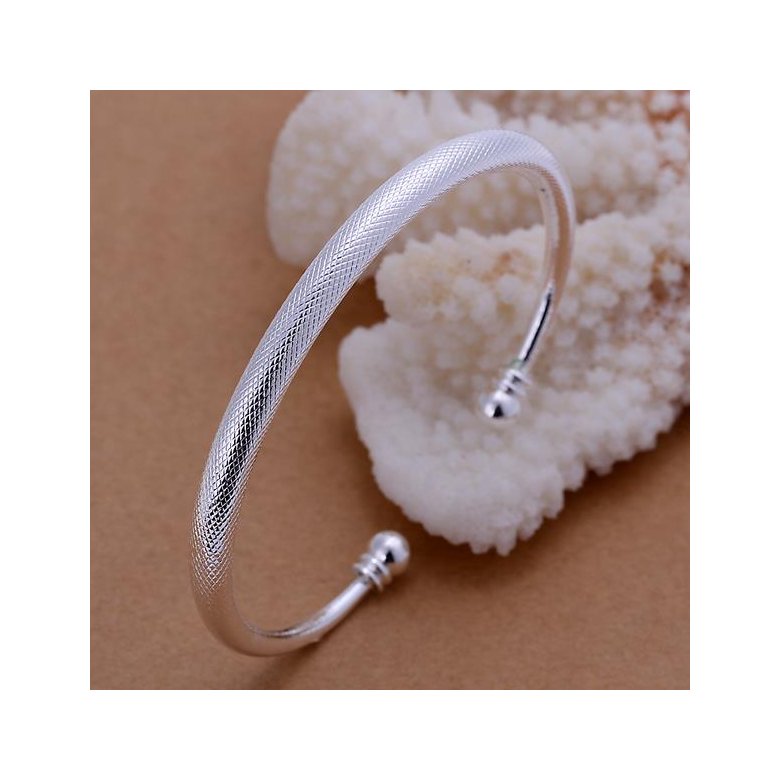 Wholesale Romantic Silver Round Bangle&Cuff TGSPBL103